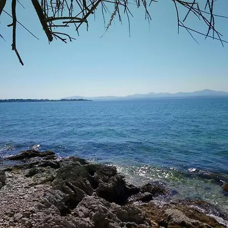Magnolia Zadar